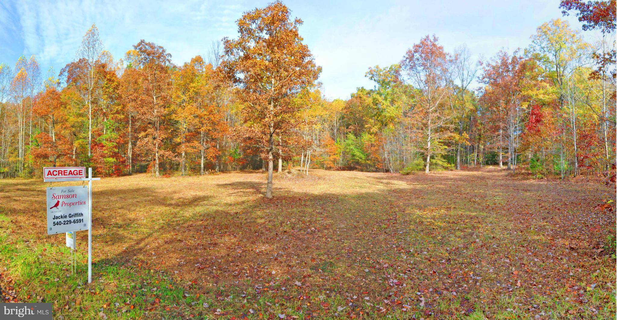 Locust Grove, VA 22508,0 WHITE OAK DR