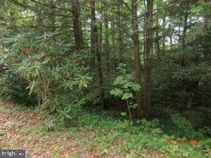 Mt Gretna, PA 17064,NS LEBANON AVE #LOT #1