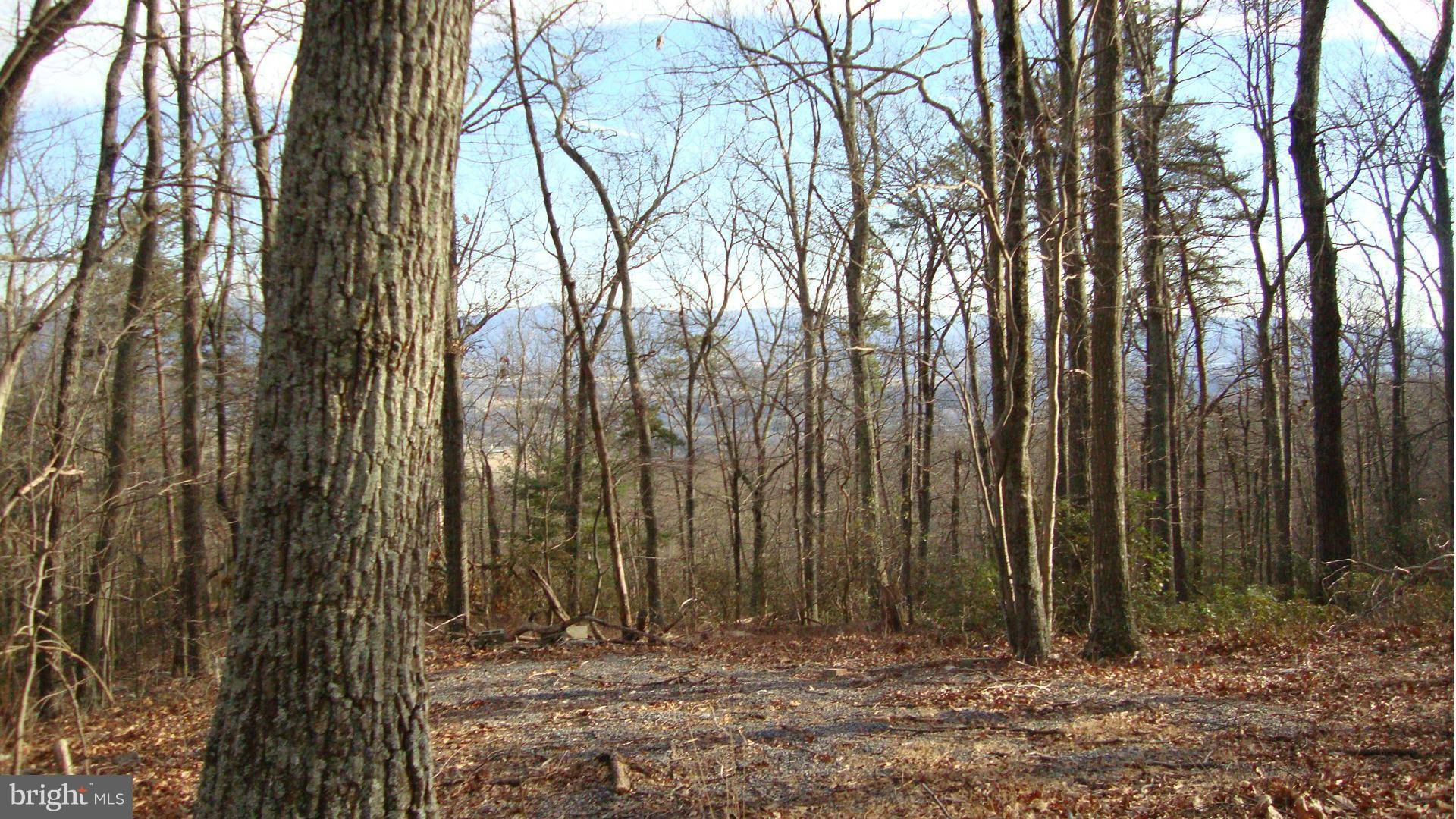 Luray, VA 22835,0 FOREST DRIVE EXTENDED