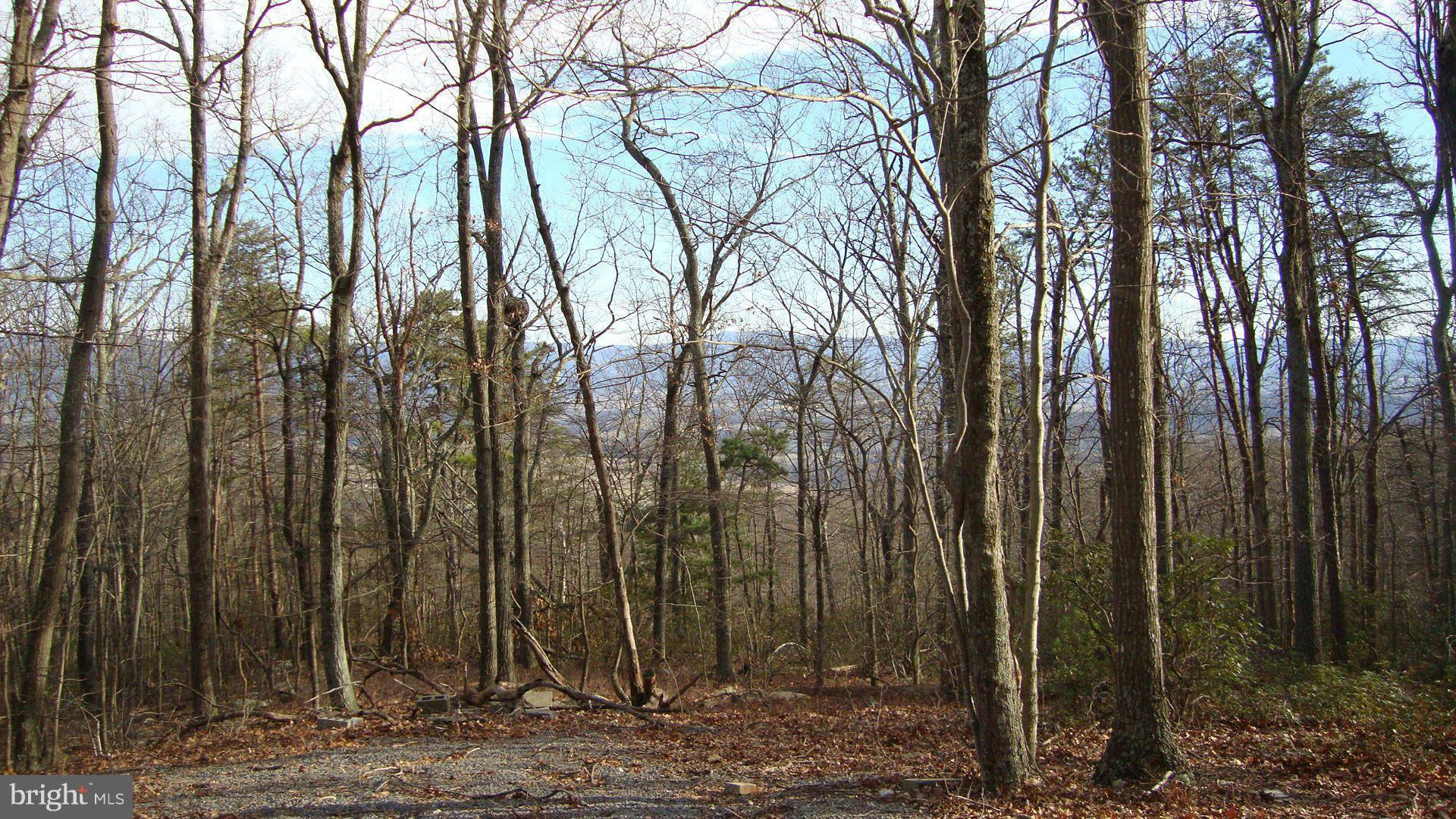 Luray, VA 22835,0 FOREST DRIVE EXTENDED