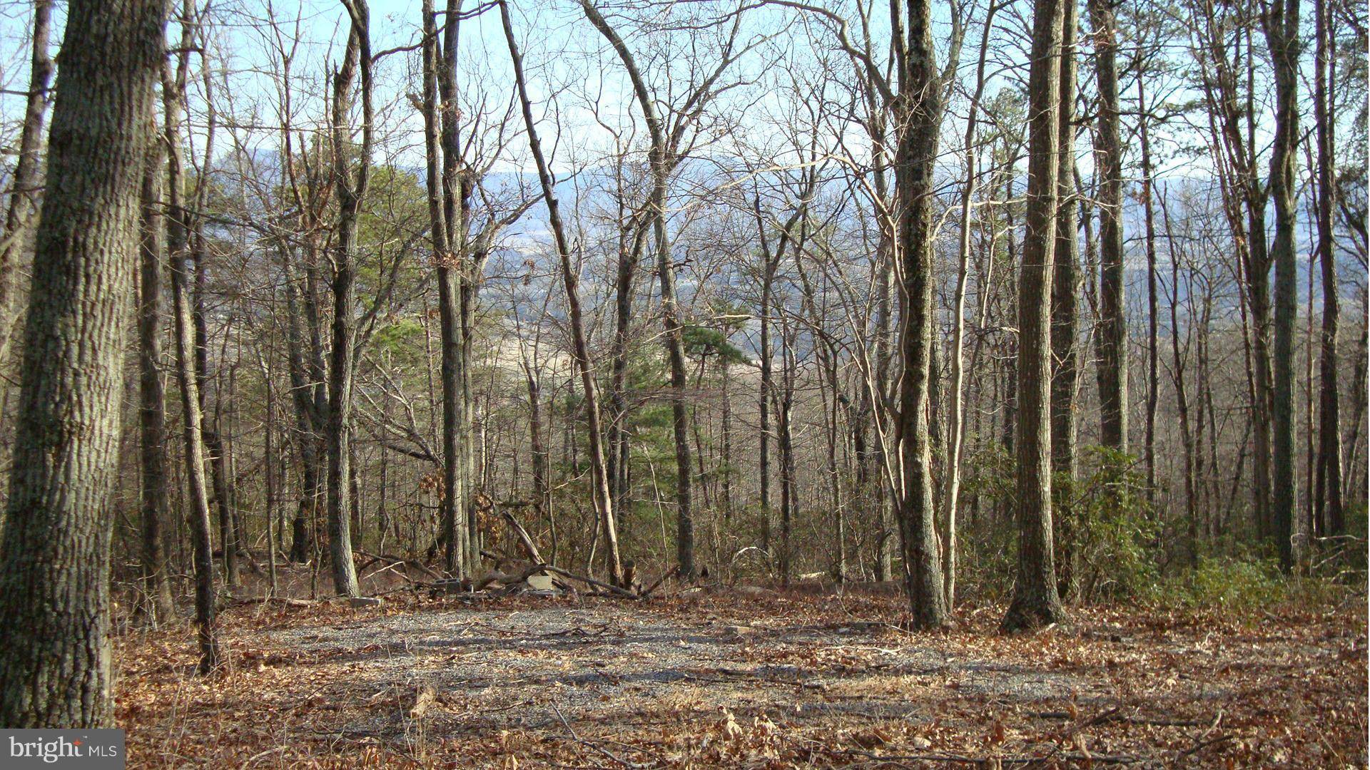 Luray, VA 22835,0 FOREST DRIVE EXTENDED