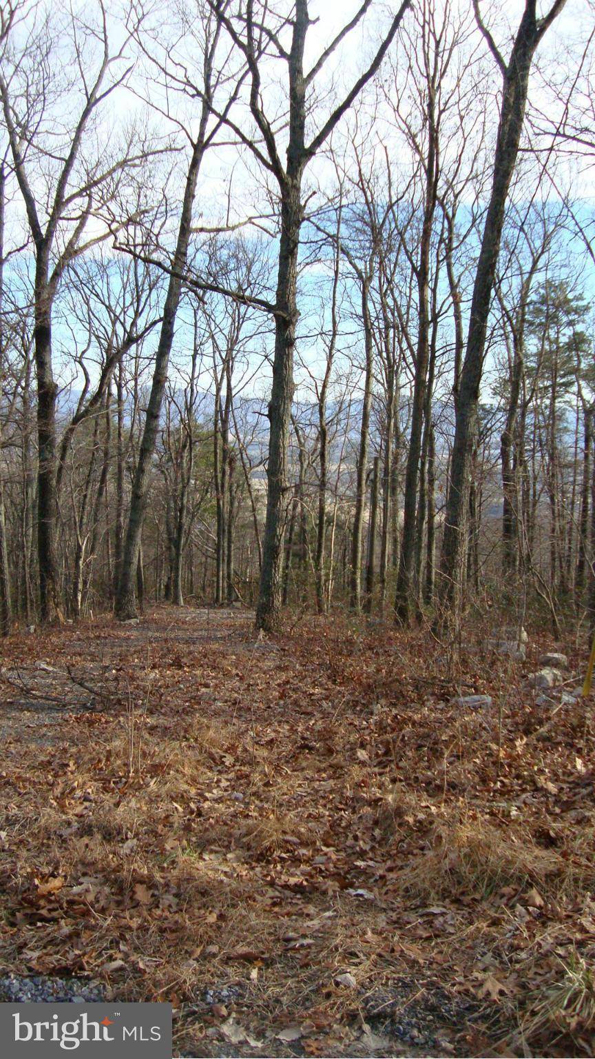 Luray, VA 22835,0 FOREST DRIVE EXTENDED