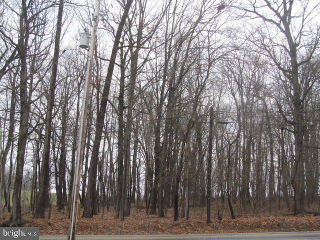 Spring Grove, PA 17362,LOT 1 HOFF RD