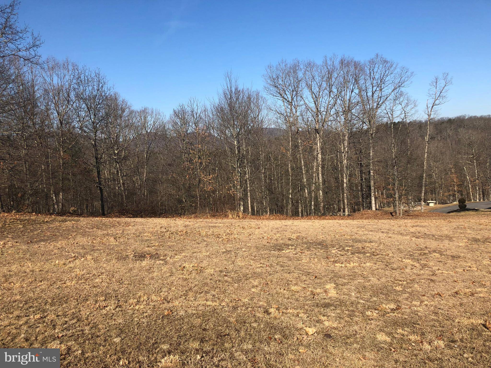 Ridgeley, WV 26753,0 WHITETAIL LN