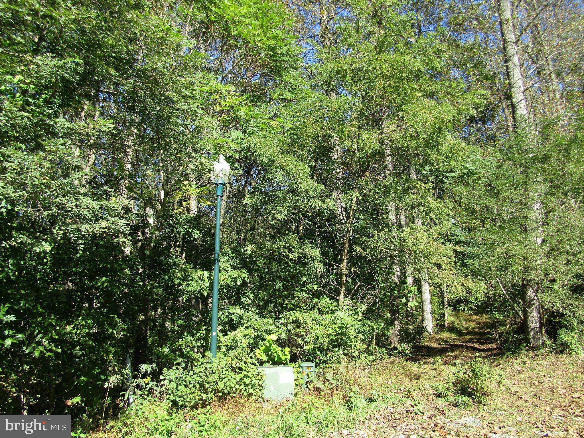 Hedgesville, WV 25427,8.24 AC-LOT 4 CHESAPEAKE LN