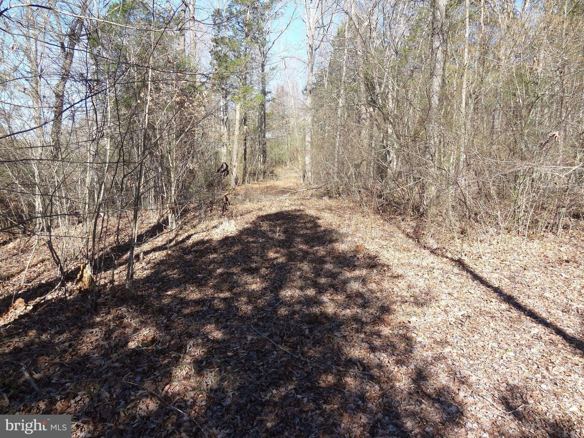 Unionville, VA 22567,LOT 13 DANIELS POINT DR