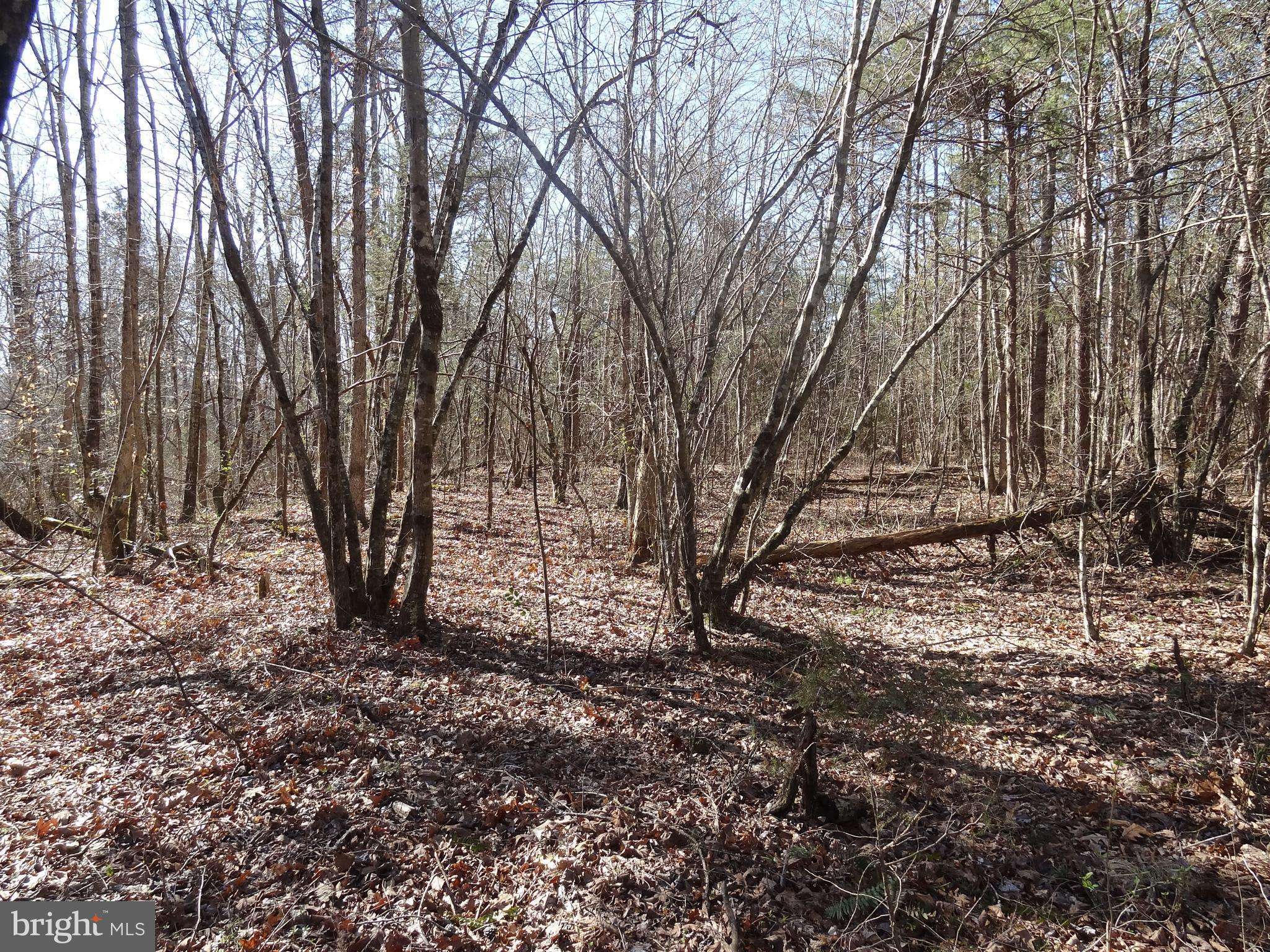 Unionville, VA 22567,LOT 13 DANIELS POINT DR