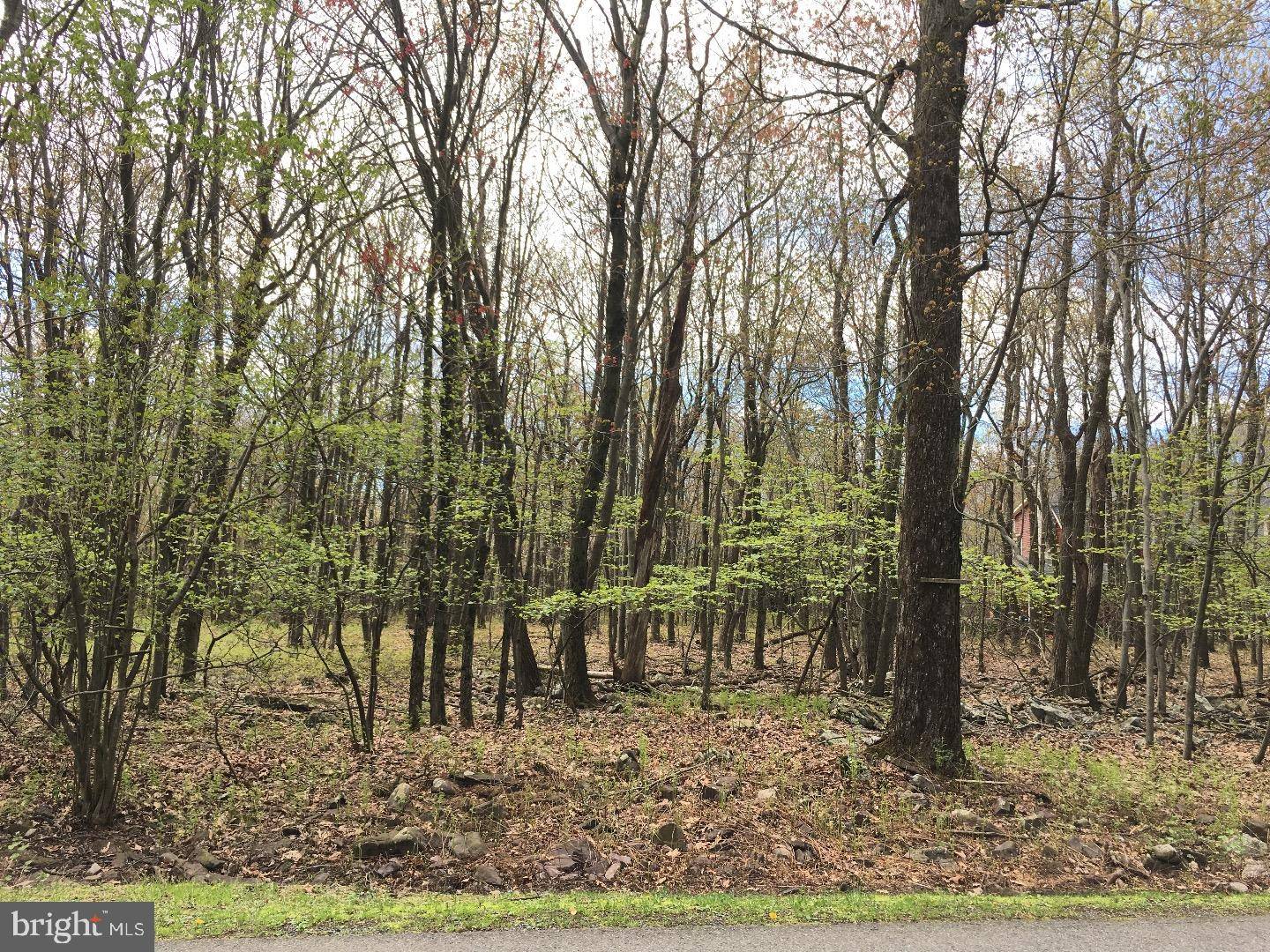 Jim Thorpe, PA 18229,LOT 84 COTTONWOOD DR