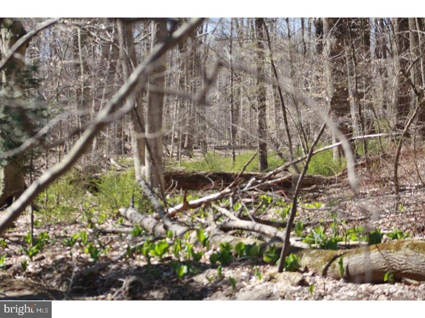 Kennett Square, PA 19348,LOT 1 MILL RD