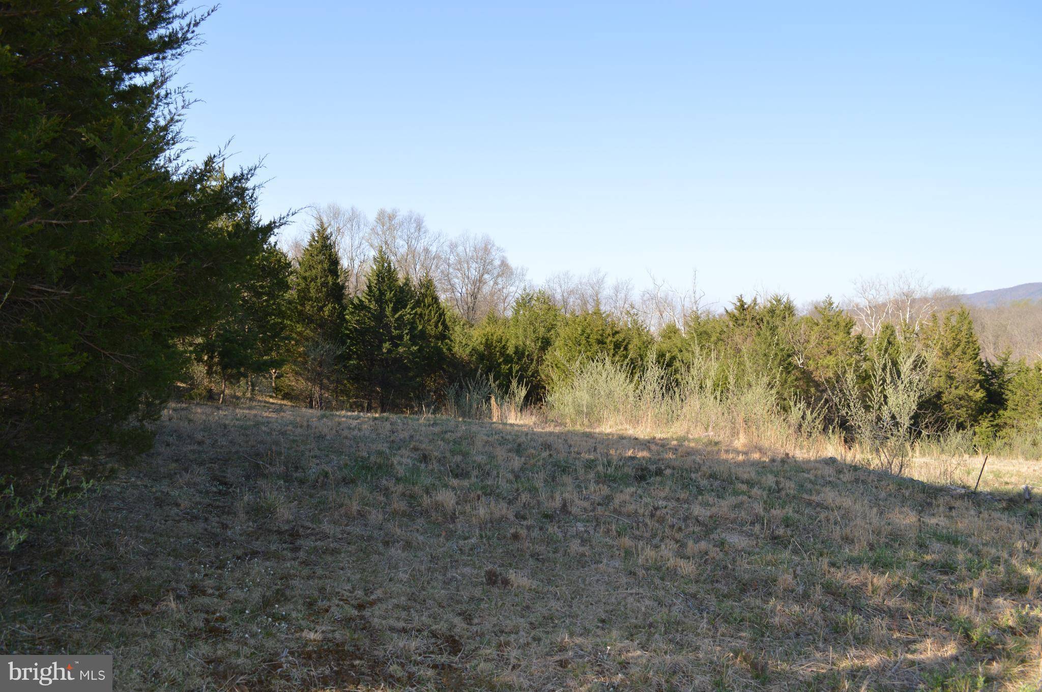 Strasburg, VA 22657,LOT 61LOT 61 SAVANNAH DR