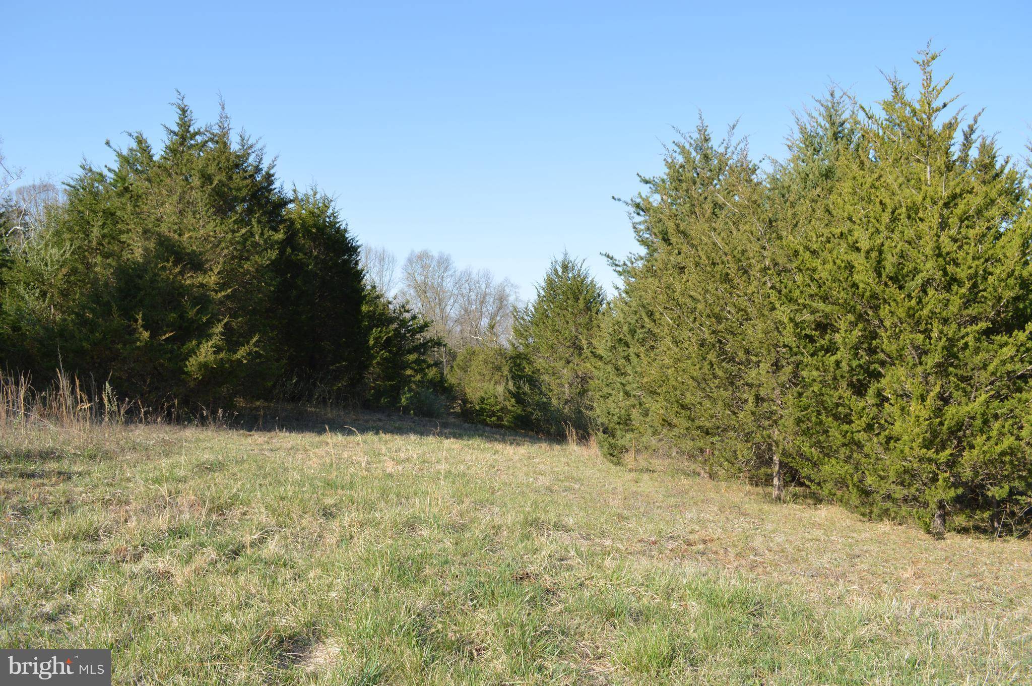 Strasburg, VA 22657,LOT 61LOT 61 SAVANNAH DR