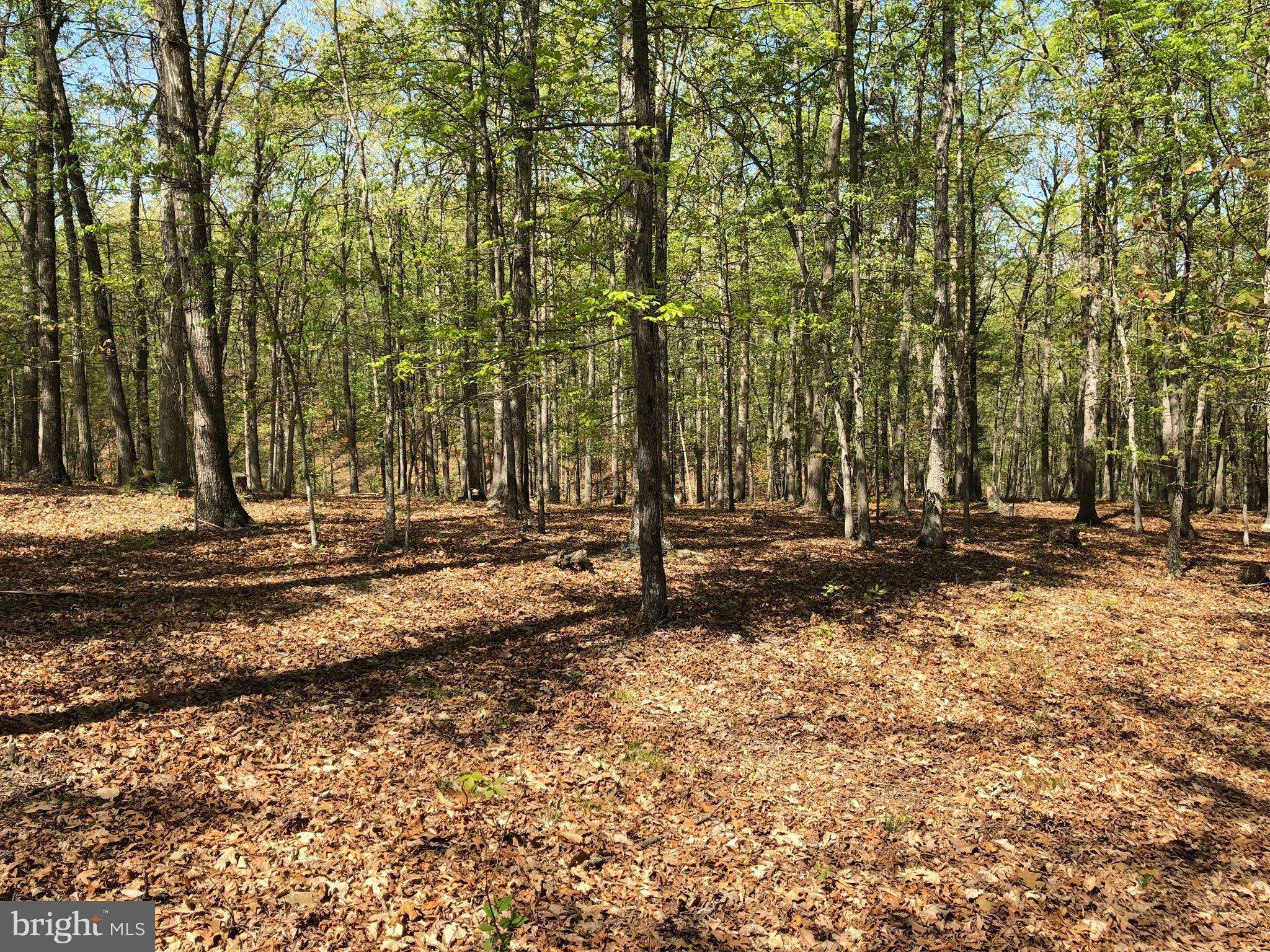 Toms Brook, VA 22660,-LOT 2 HAHNS LN