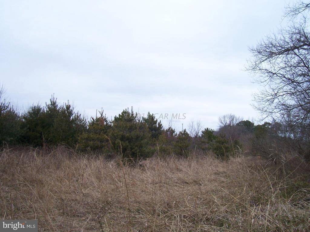 Snow Hill, MD 21863,LOT 1 PUBLIC LANDING RD