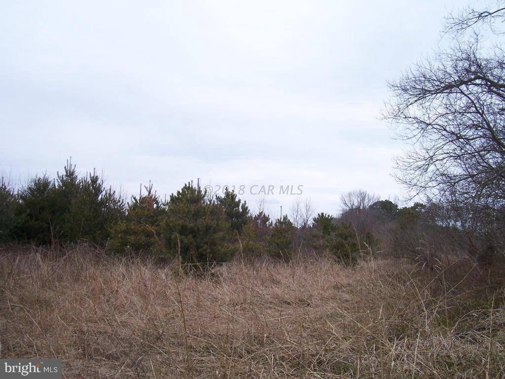 Snow Hill, MD 21863,LOT 1 PUBLIC LANDING RD