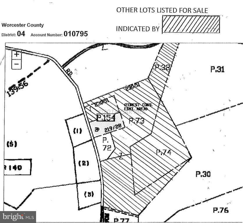 Newark, MD 21841,LOT 2 BASKET SWITCH RD