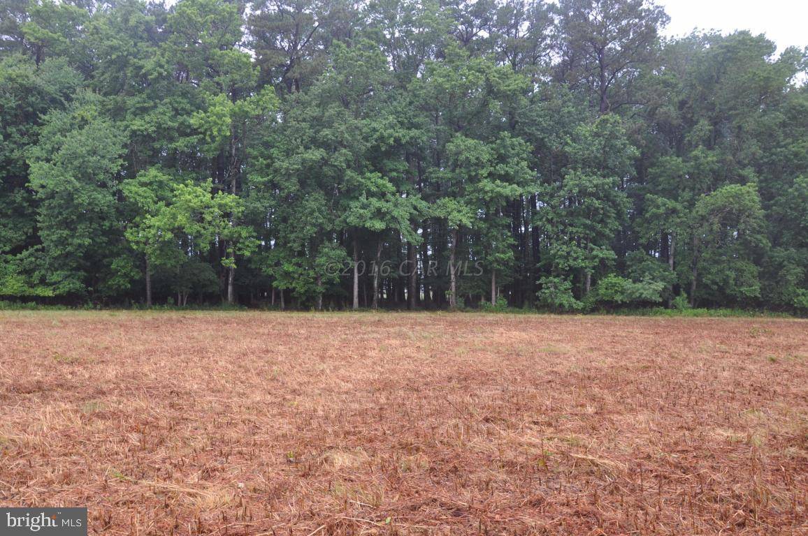 Berlin, MD 21811,LOT 16 WINDING CREEK DR