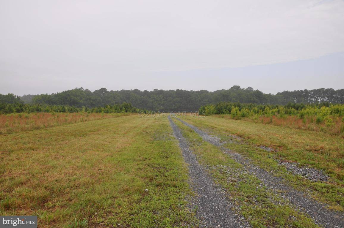 Berlin, MD 21811,LOT 16 WINDING CREEK DR