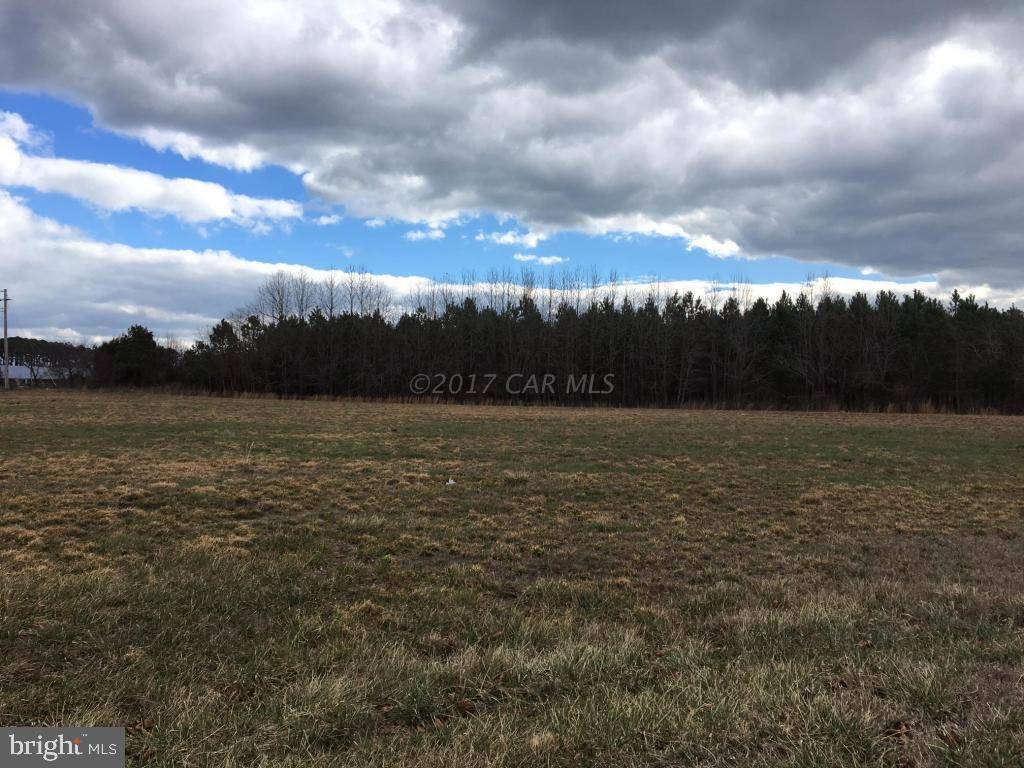 Bishopville, MD 21813,LOT 8 ROLLIE RD