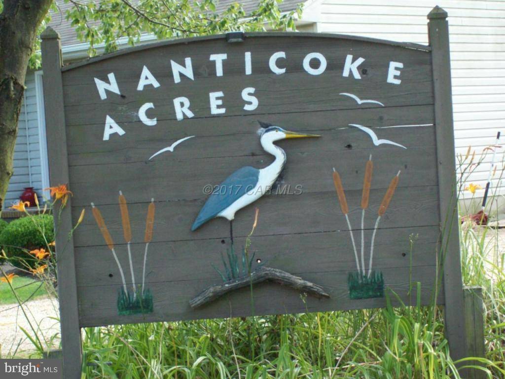 Nanticoke, MD 21840,CHESAPEAKE DR