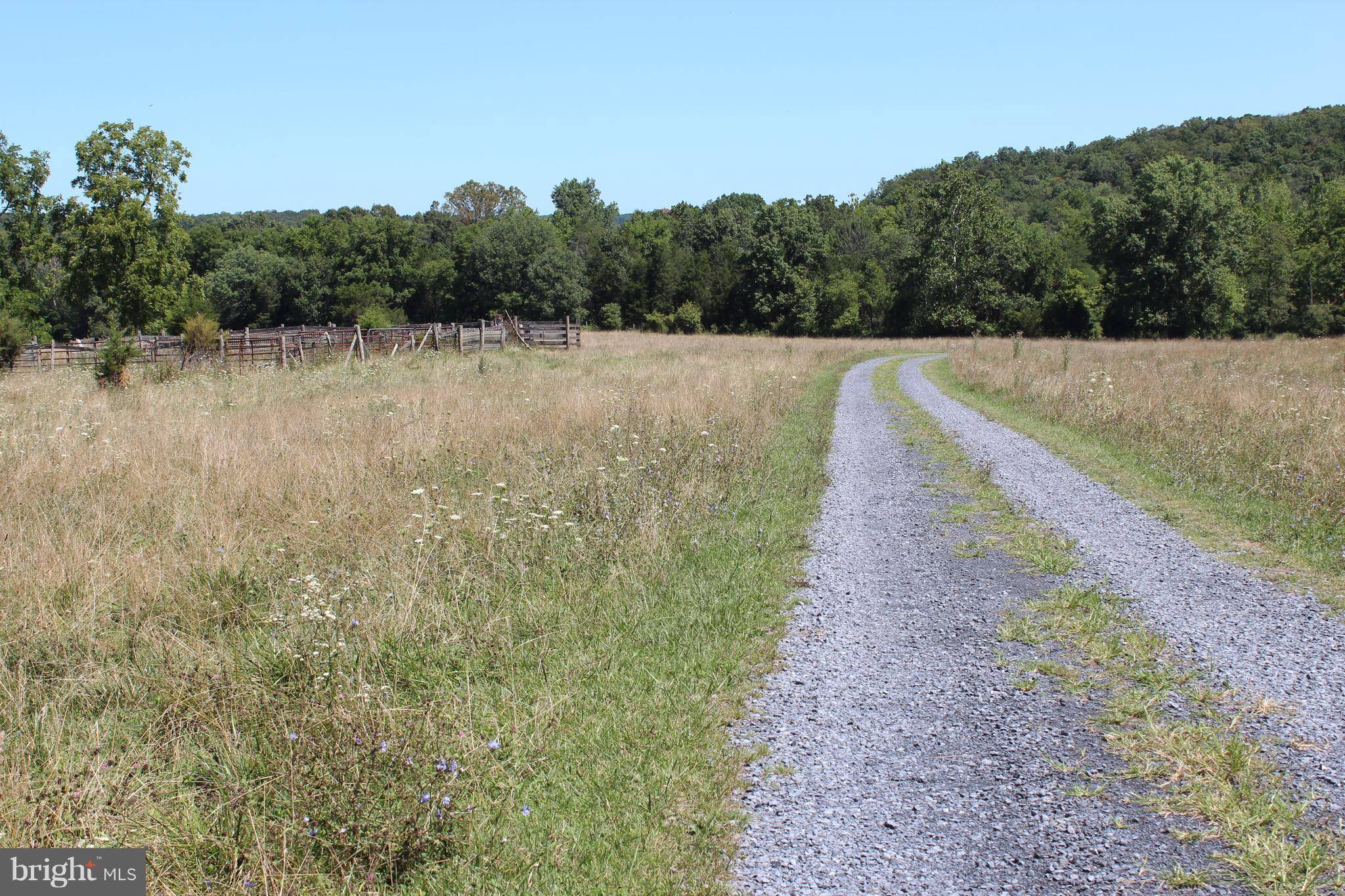 Front Royal, VA 22630,12 CATTLE CROSSING