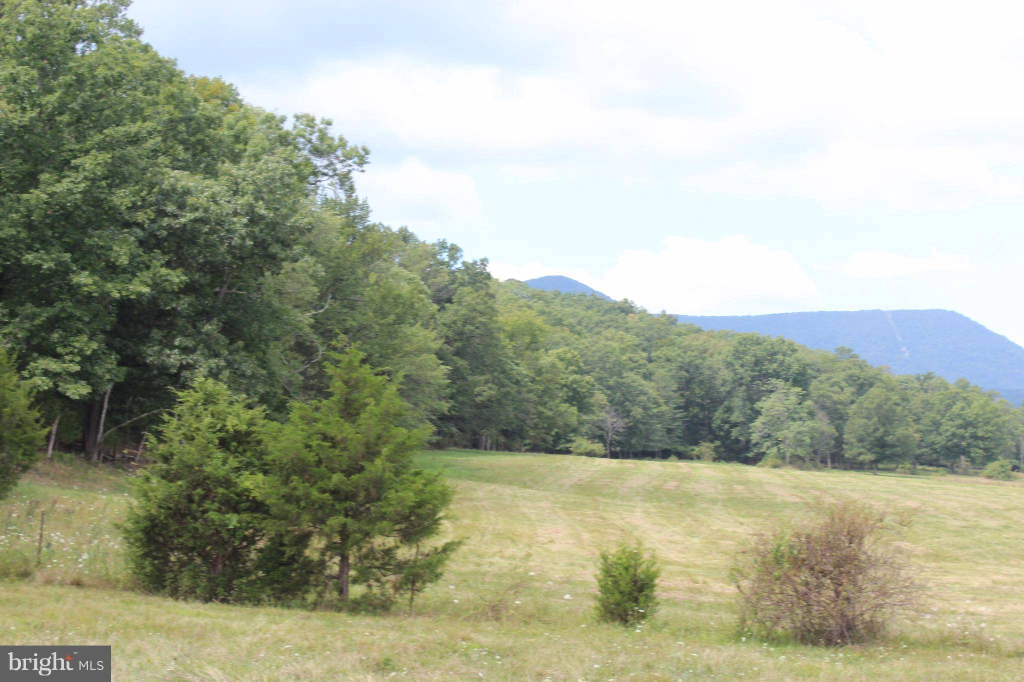 Front Royal, VA 22630,12 CATTLE CROSSING