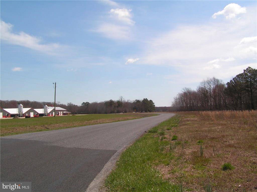 Frankford, DE 19945,0 BLUEBERRY LN