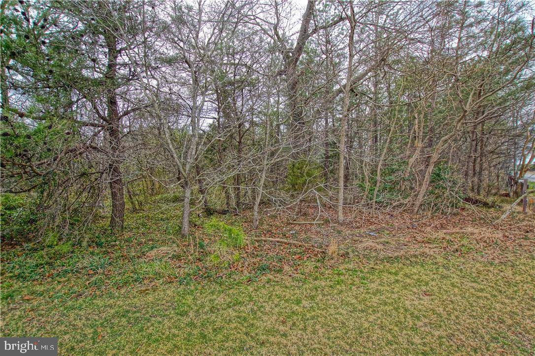 Georgetown, DE 19947,LOT 2 PRETTYMAN RD