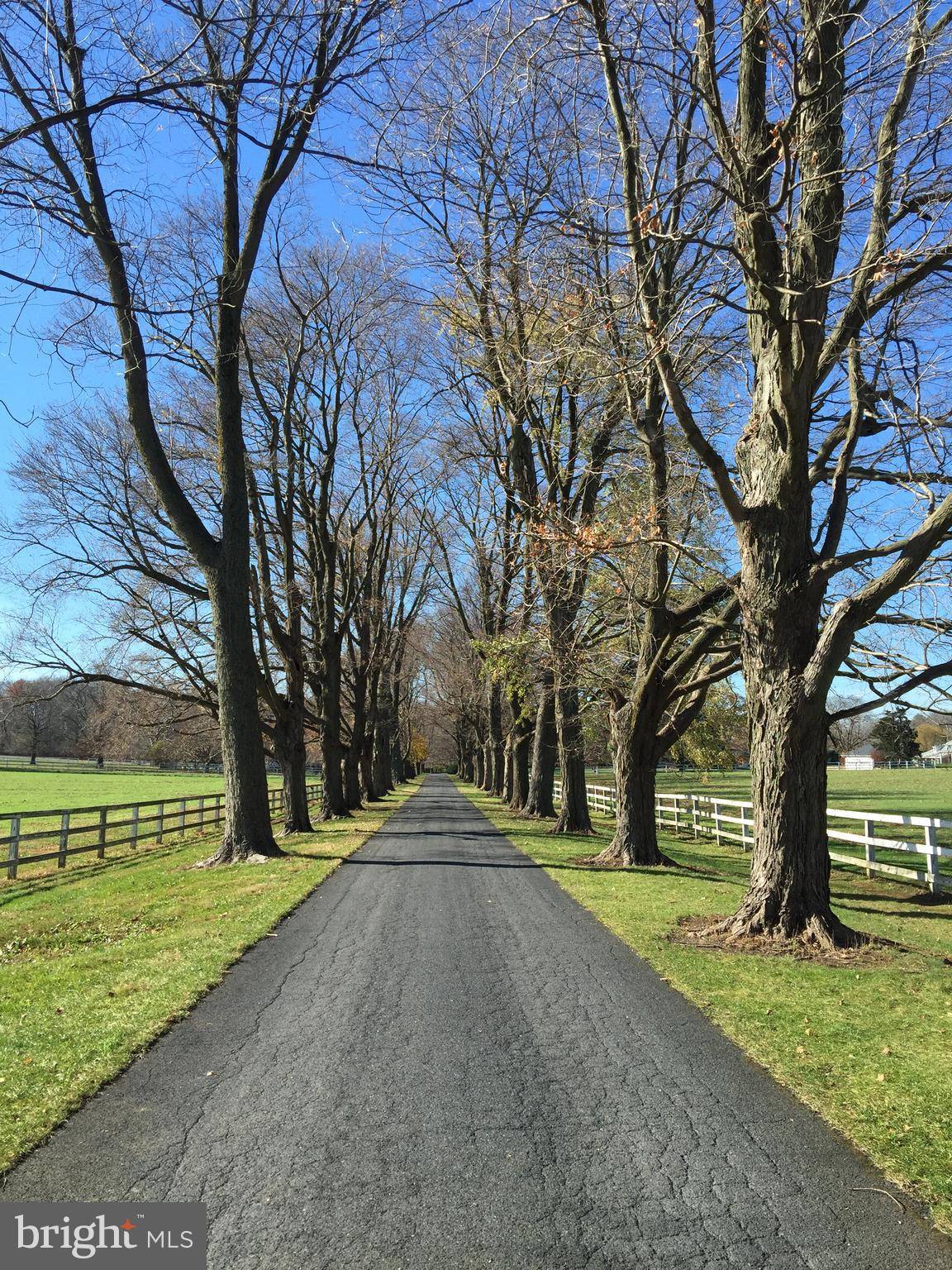 Bird In Hand, PA 17505,458 BEECHDALE RD