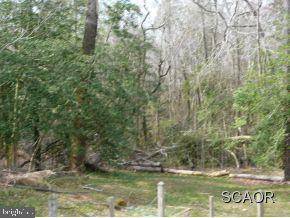 Milton, DE 19968,218 RIDGE RD #LOT 16