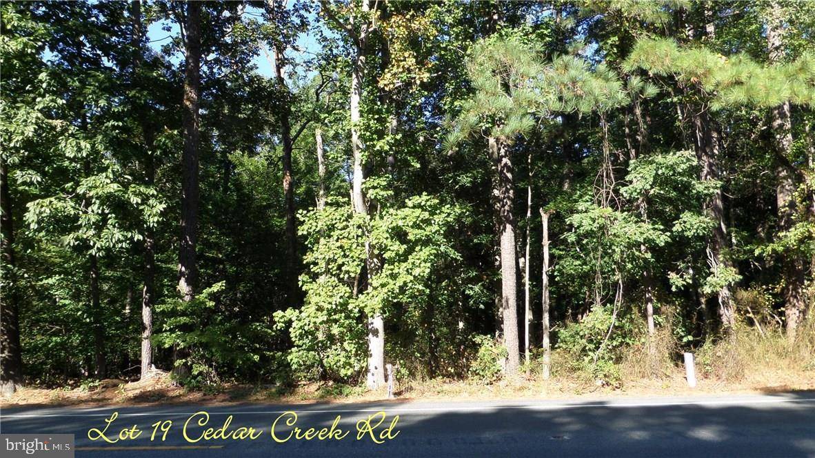 Lincoln, DE 19960,LOT 19 CEDAR CREEK RD