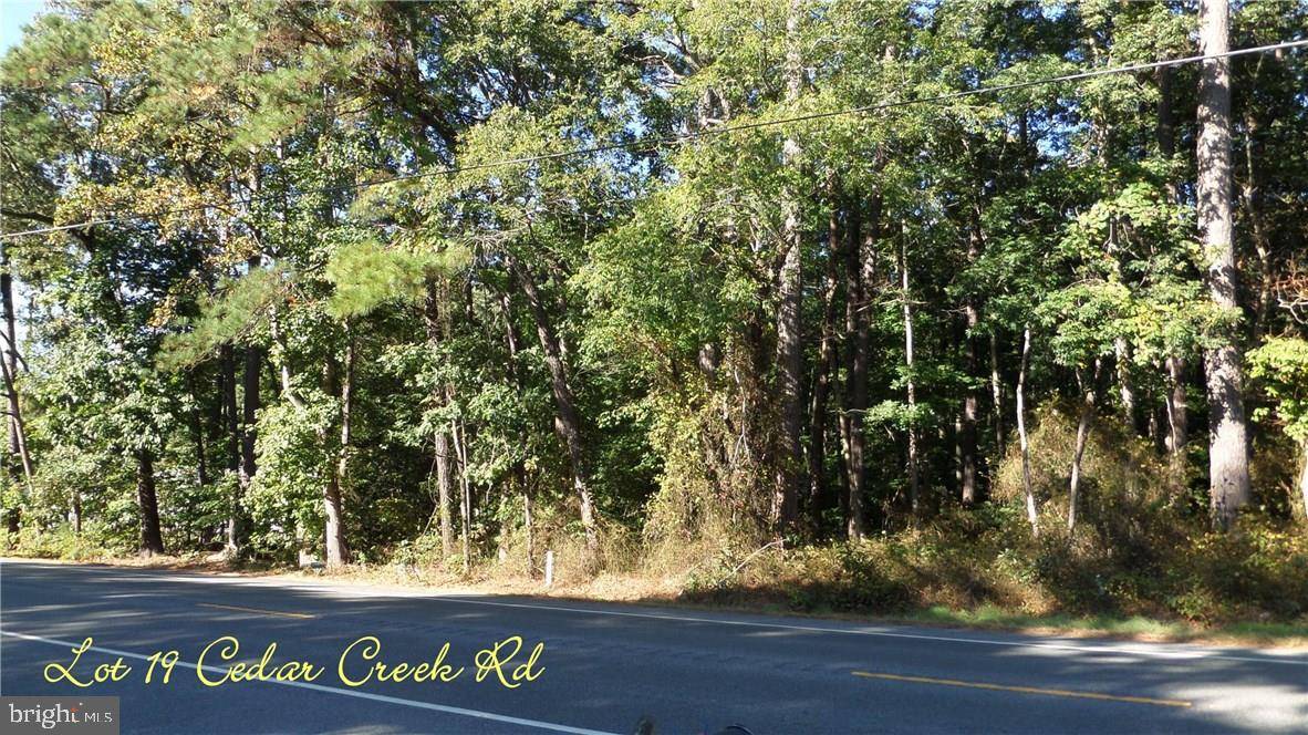 Lincoln, DE 19960,LOT 19 CEDAR CREEK RD