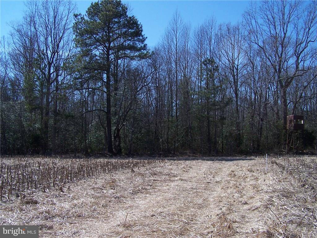 Georgetown, DE 19947,LOT B WALDWICK WAY