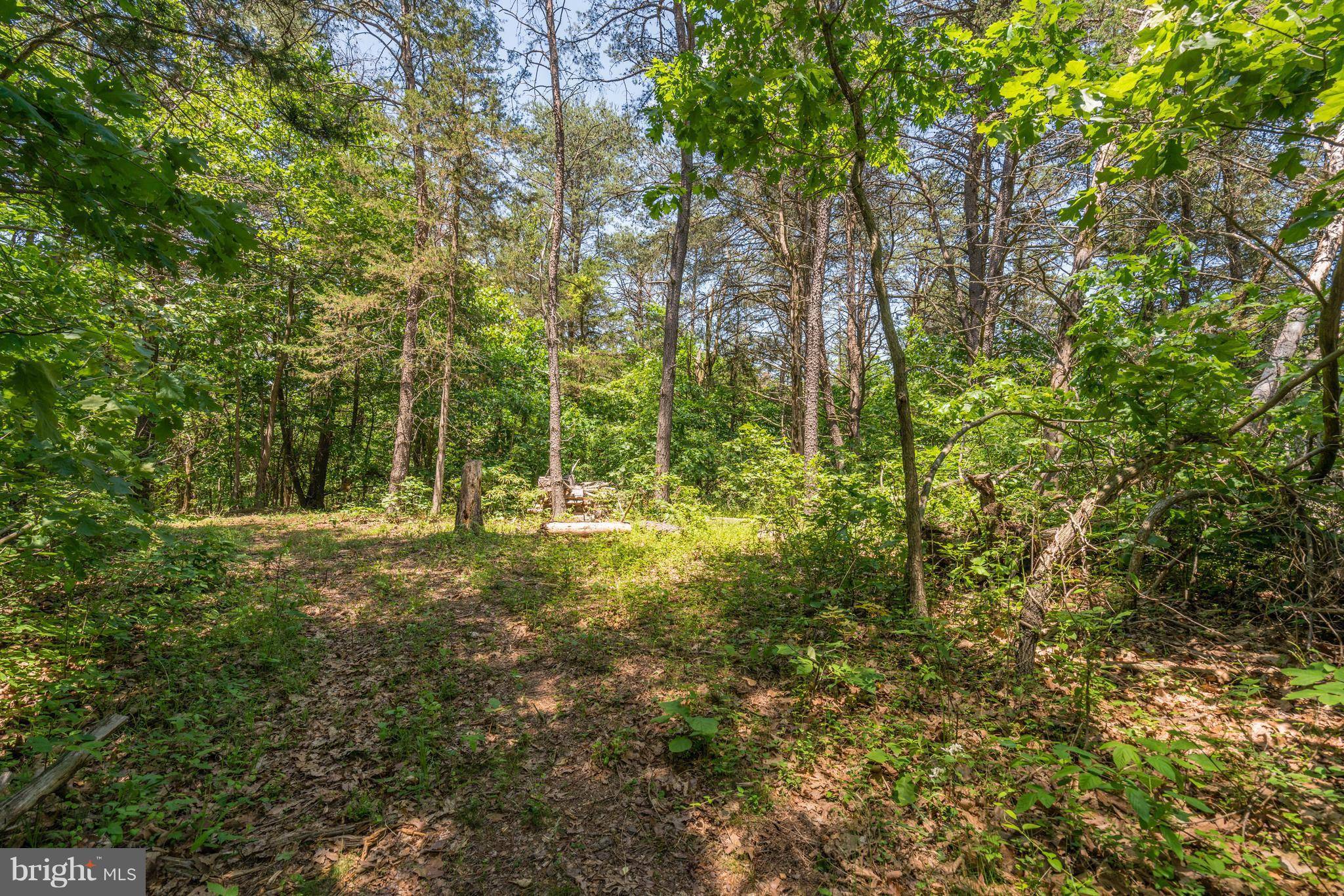 Middletown, VA 22645,LOT 9 GREAT LAKE DR