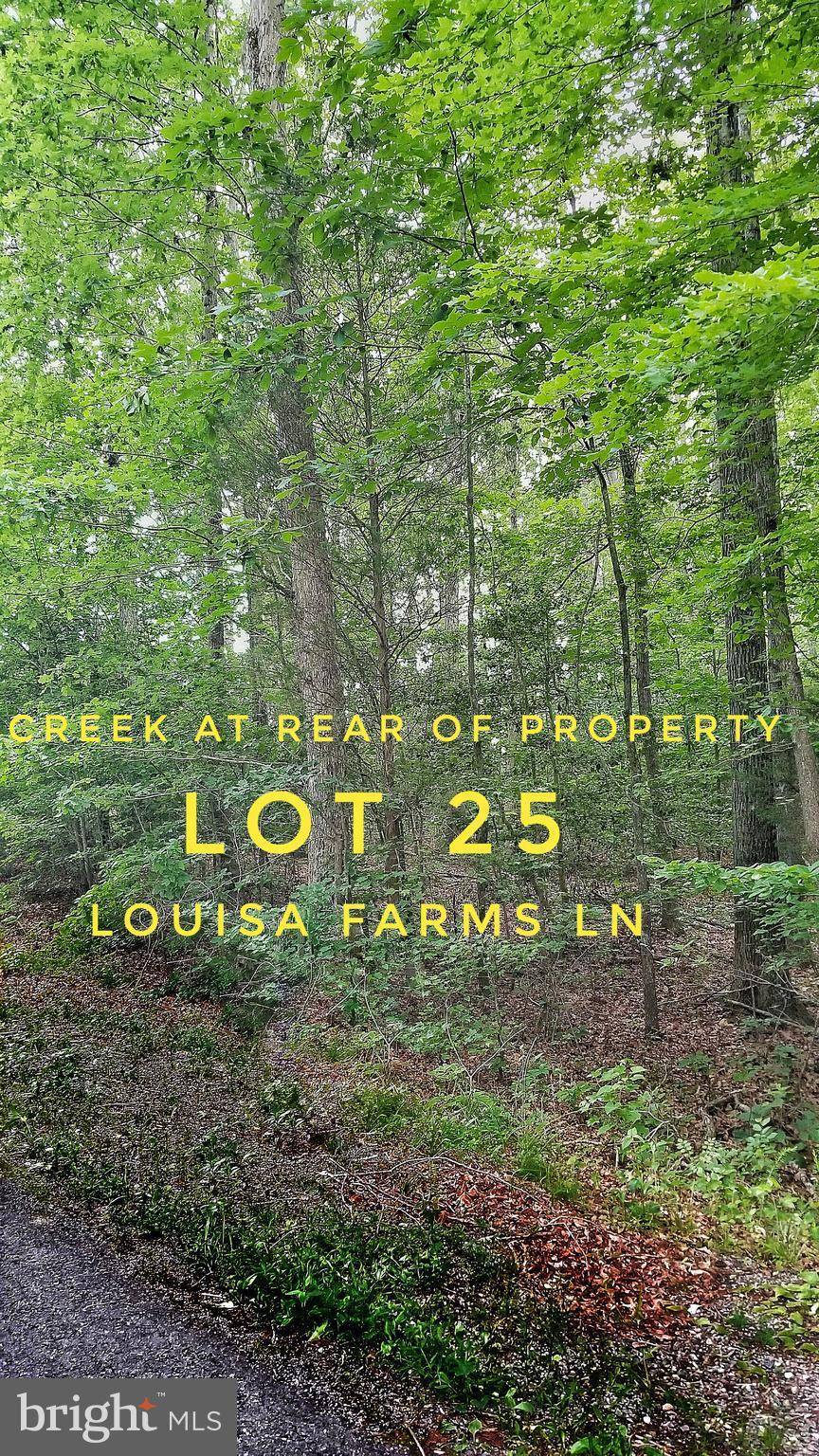 Bumpass, VA 23024,-LOT 25 LOUISA FARMS LN