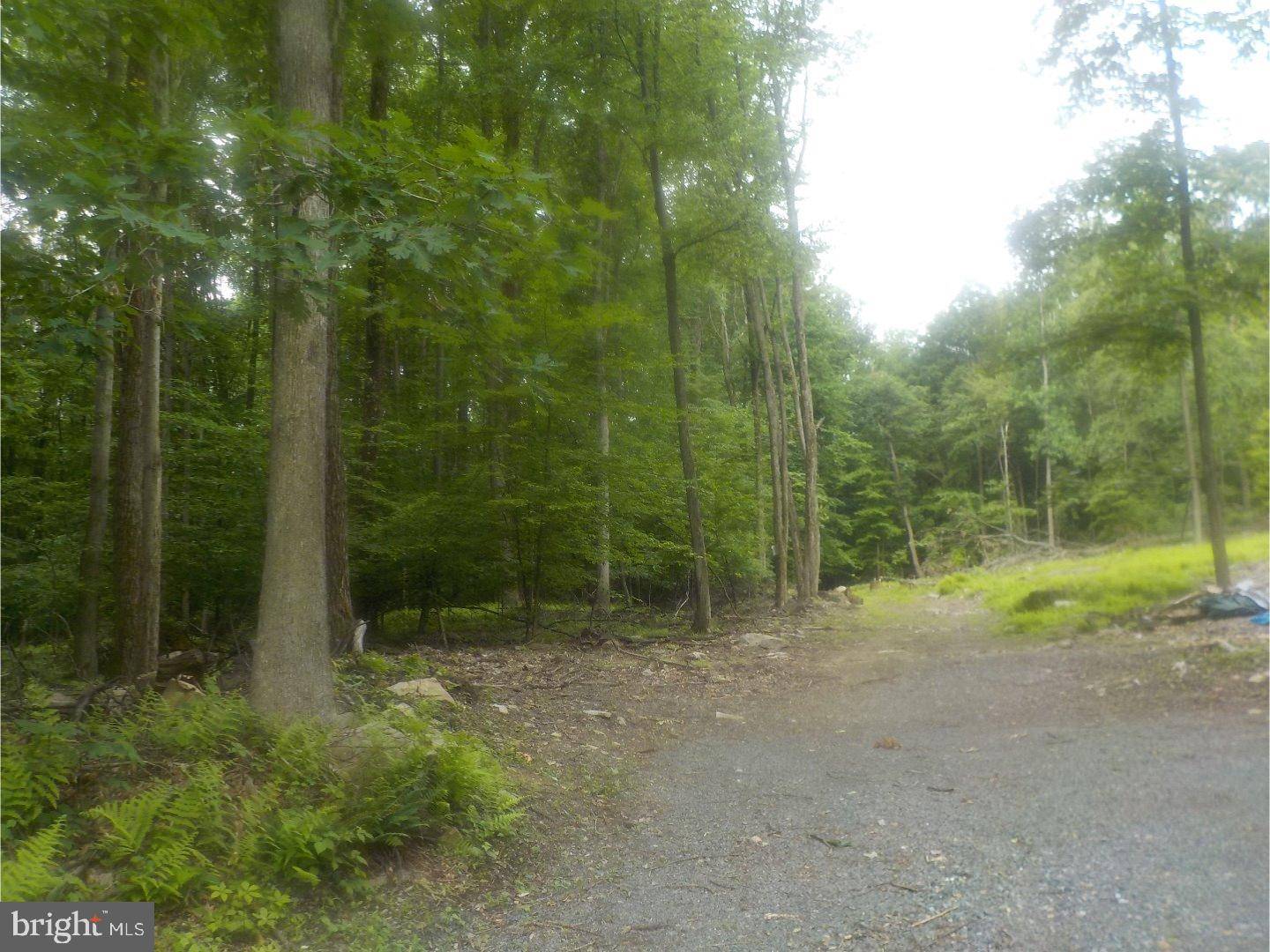 Oley, PA 19547,0000 WEIDNER RD