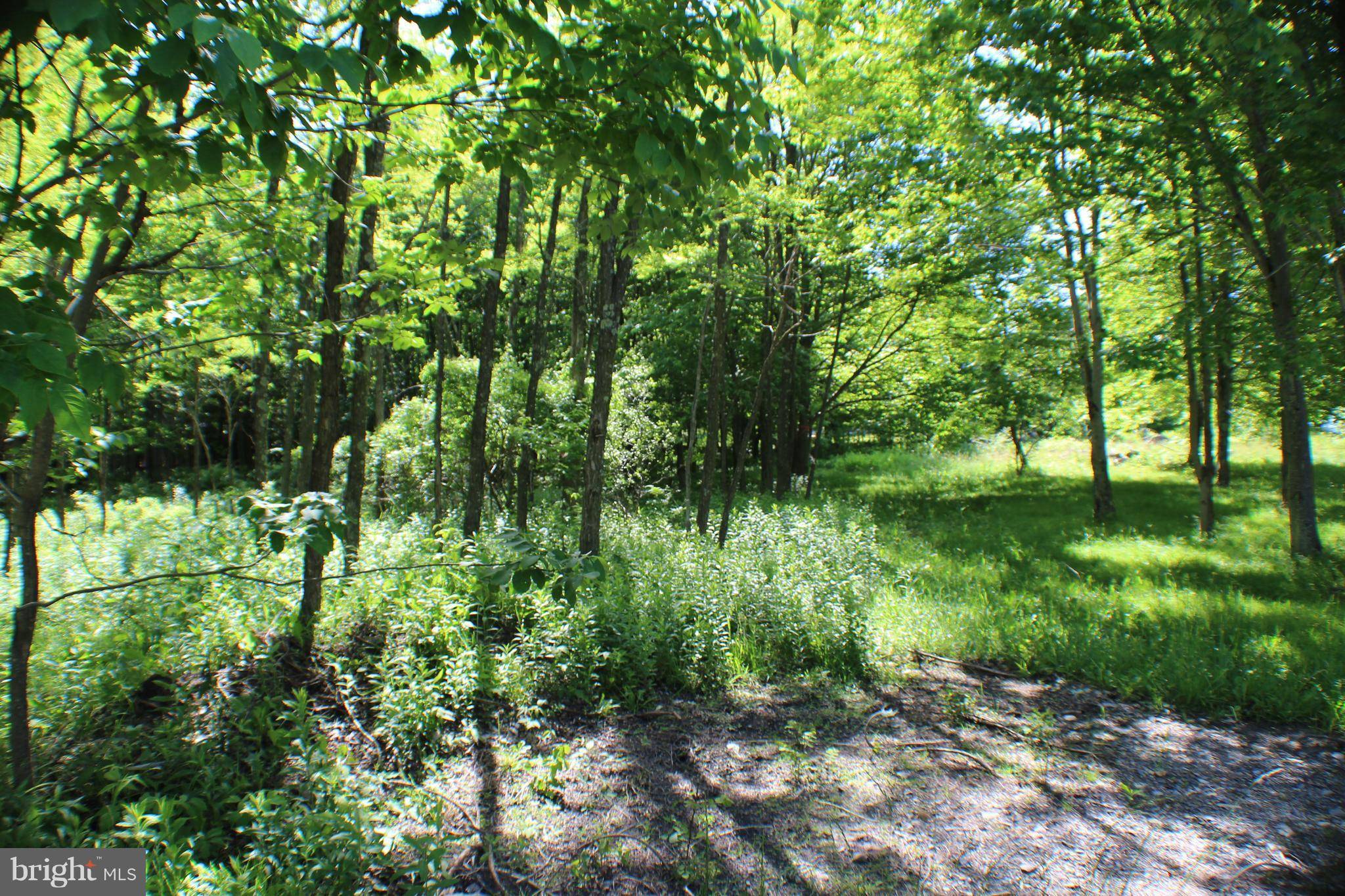 Mount Storm, WV 26739,LOTS 10-12 SPRUCE RDG