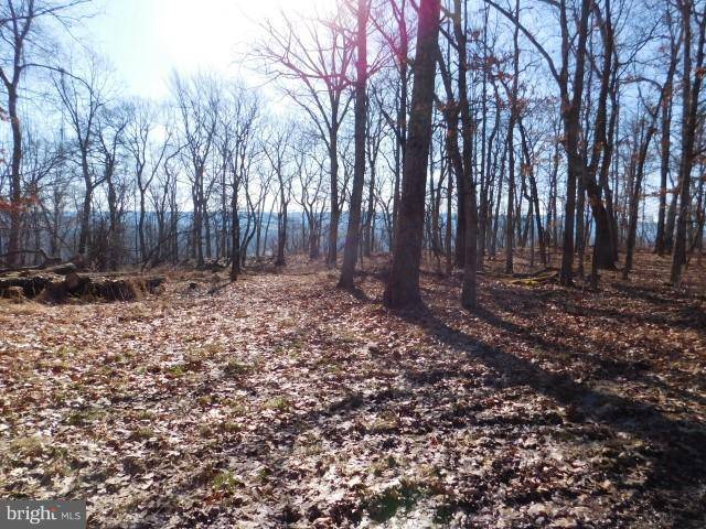 Capon Bridge, WV 26711,LOT E RITTER DR