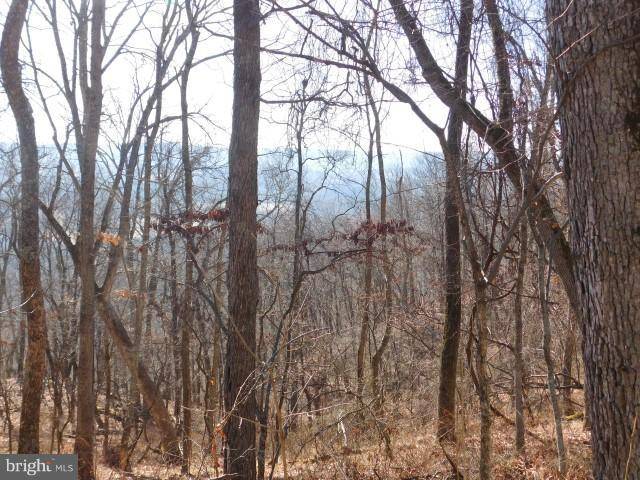 Capon Bridge, WV 26711,LOT F RITTER DR