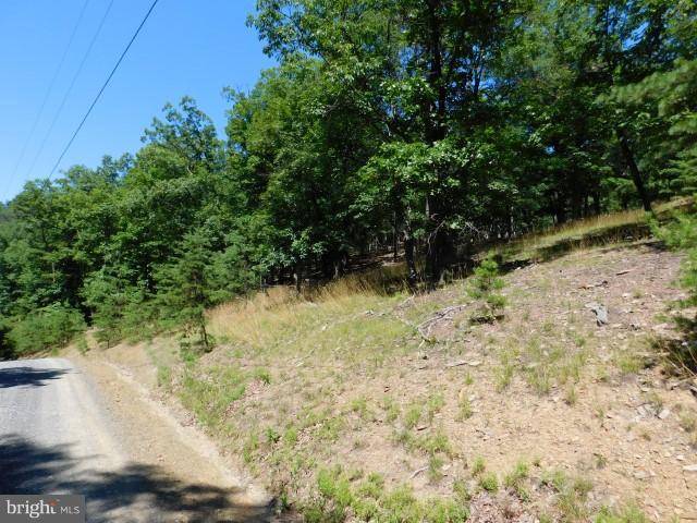 Petersburg, WV 26847,LOT 16 MOUNTAIN LAKE RETREAT