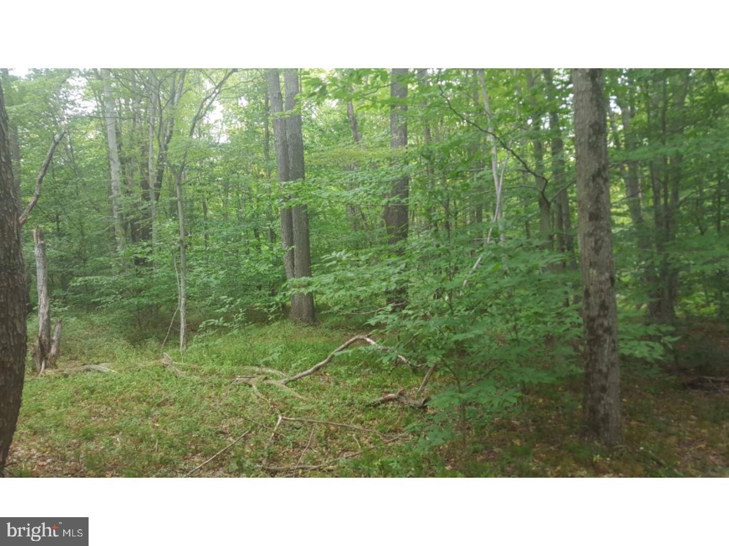 Pocono Lake, PA 18347,45039 LR