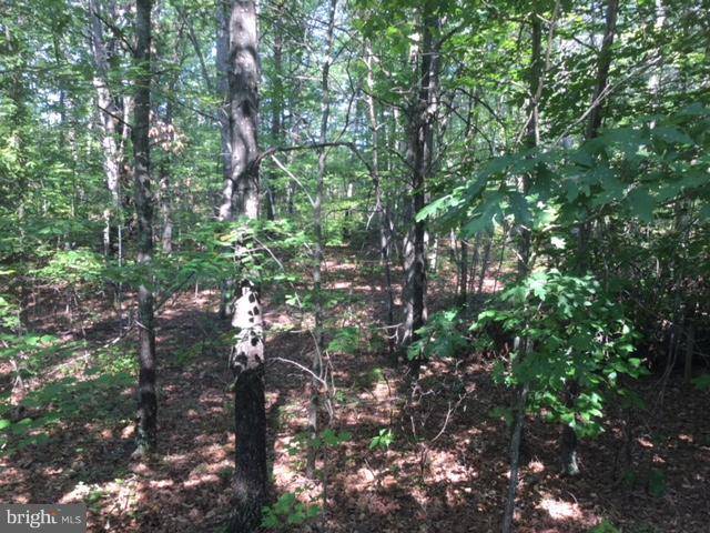 Gordonsville, VA 22942,LOT 139 PINEHURST DR