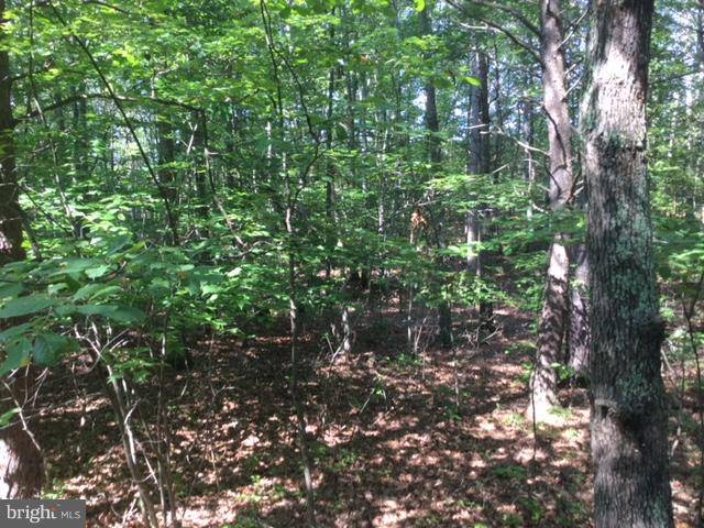 Gordonsville, VA 22942,LOT 139 PINEHURST DR