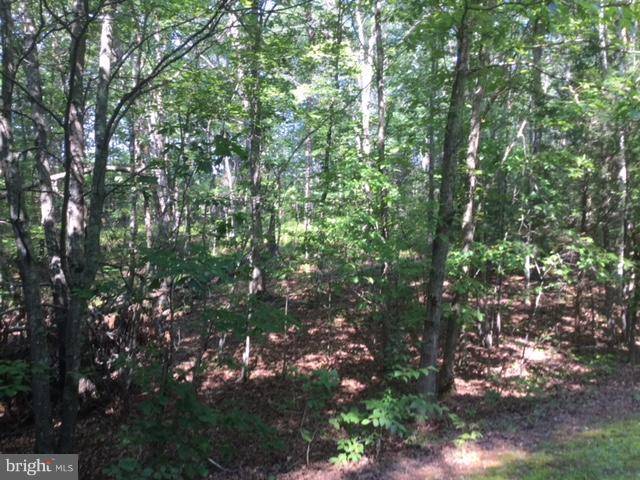 Gordonsville, VA 22942,LOT 140 PINEHURST DR