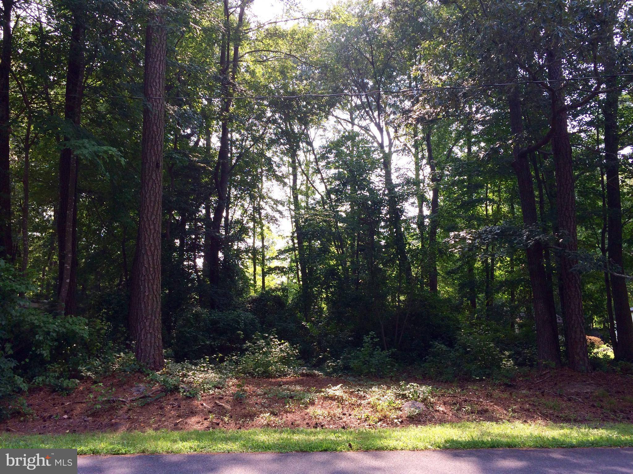 Frankford, DE 19945,LOT 24 PLANTATION PARK