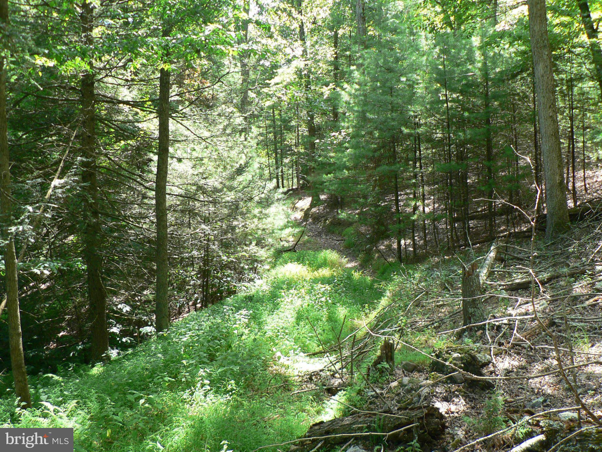 Upper Tract, WV 26866,-LOT 43 WATERLINE DR