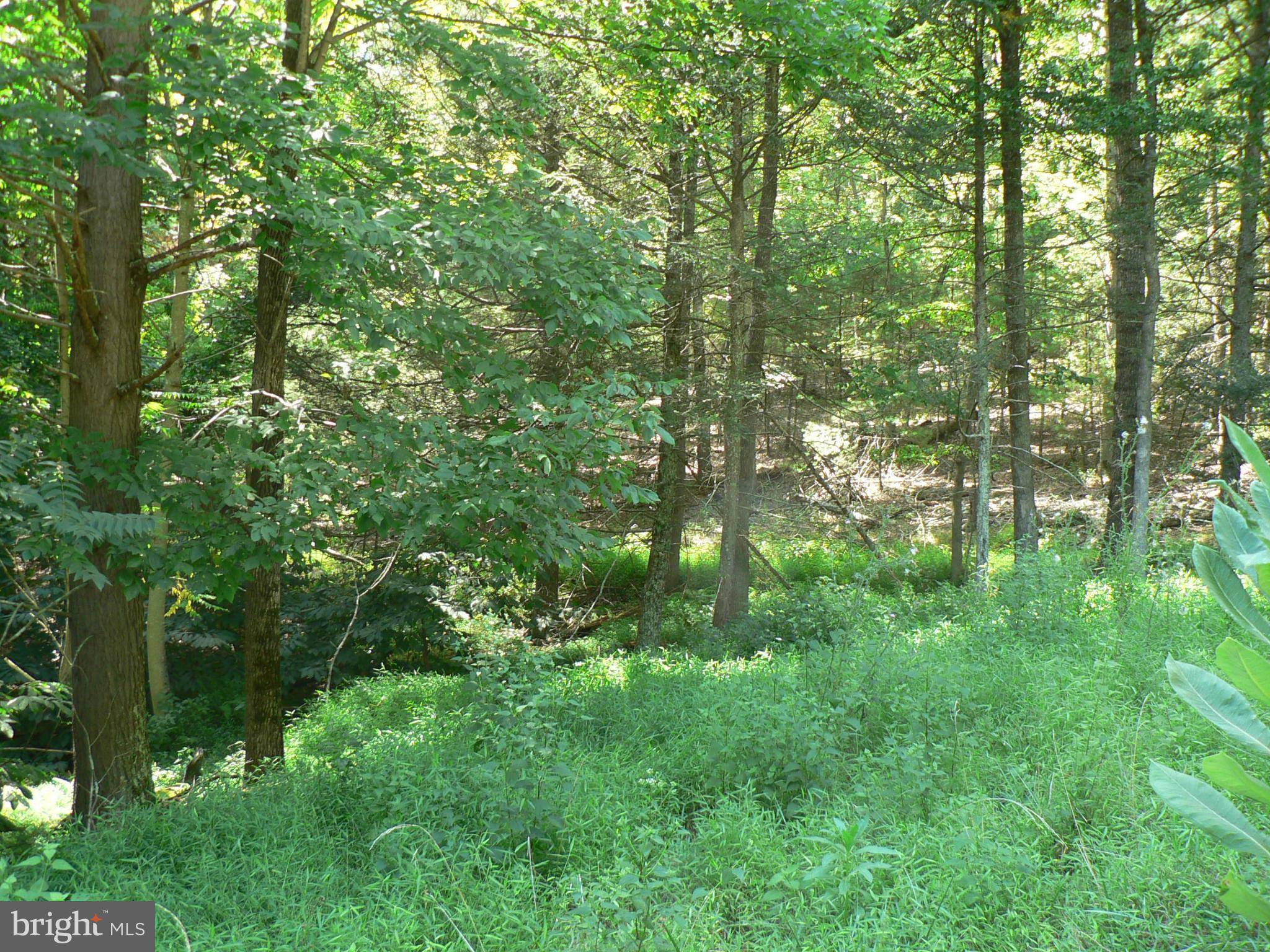 Upper Tract, WV 26866,-LOT 43 WATERLINE DR