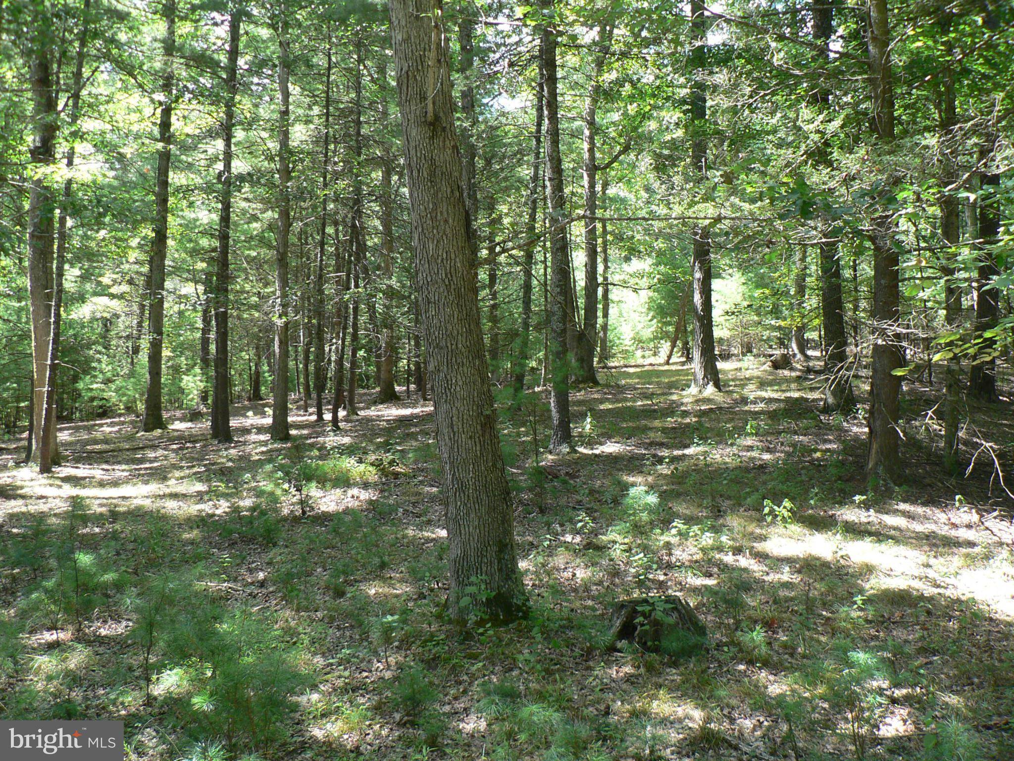 Upper Tract, WV 26866,-LOT 43 WATERLINE DR