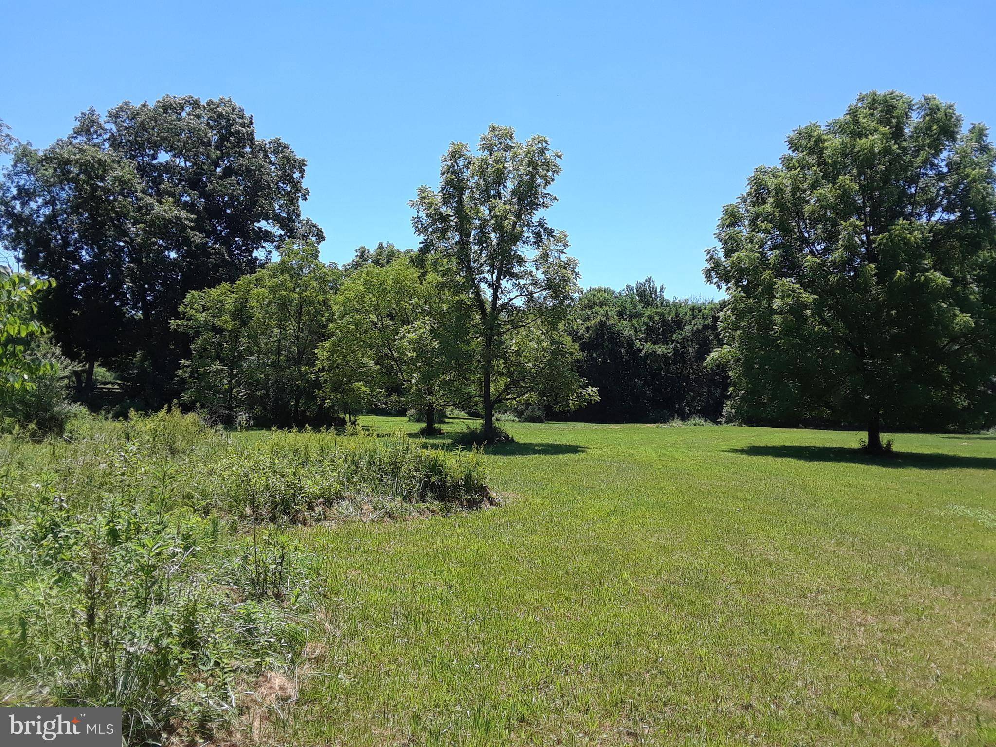 Berryville, VA 22611,LOT 9 MOOSE RD