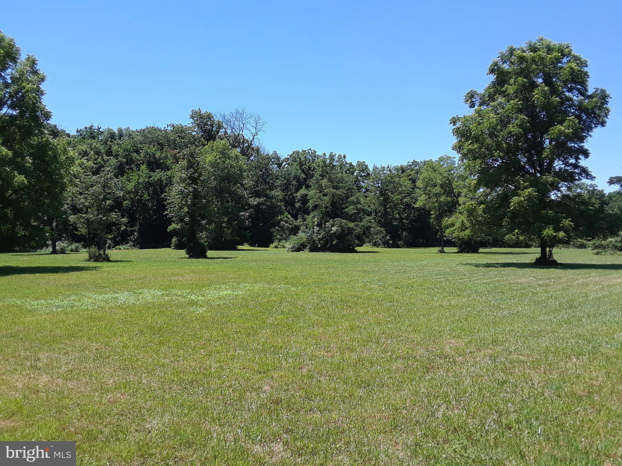 Berryville, VA 22611,LOT 9 MOOSE RD