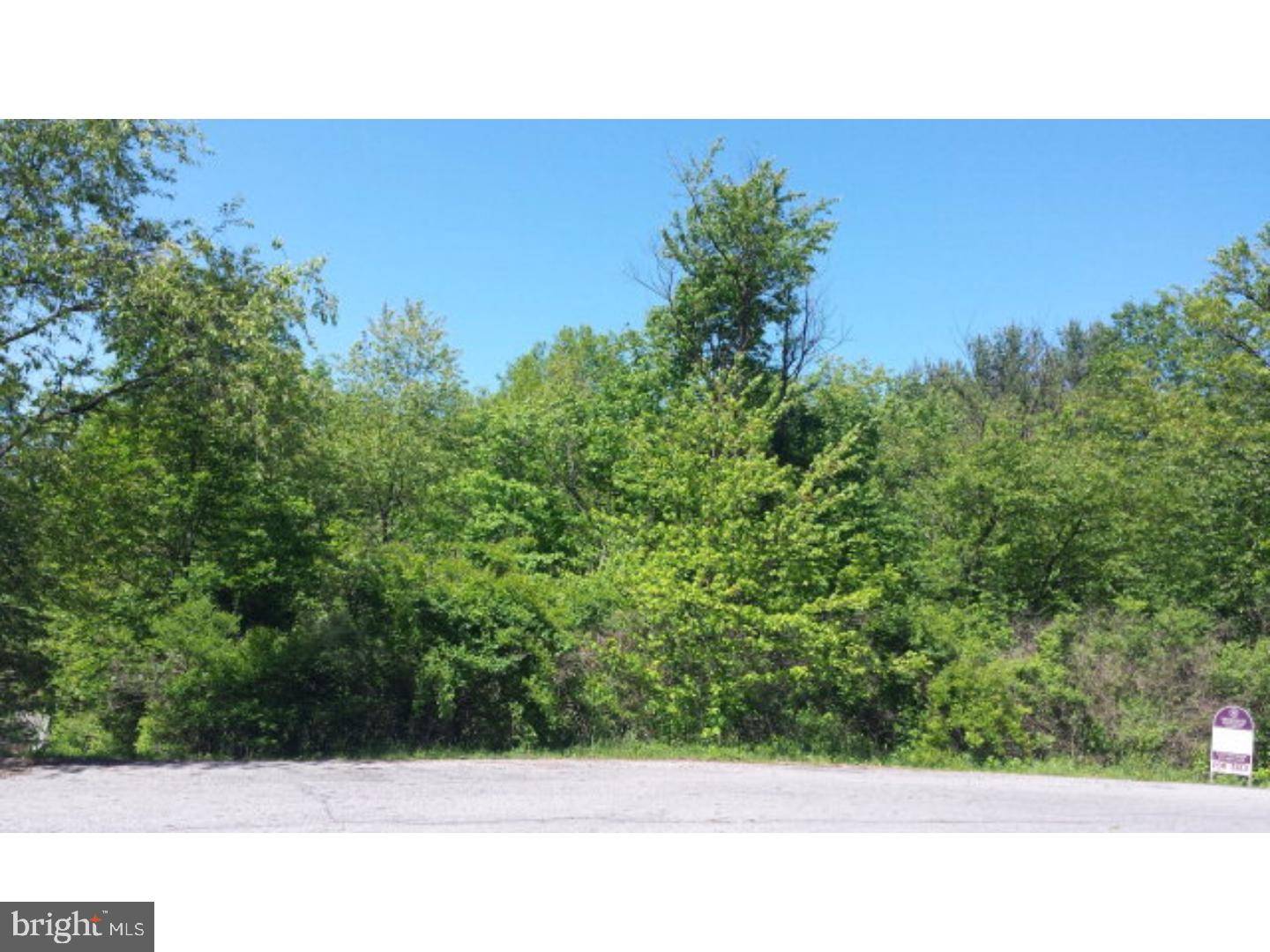 Pine Grove Twp, PA 17963,0 PINE MEADOW DR